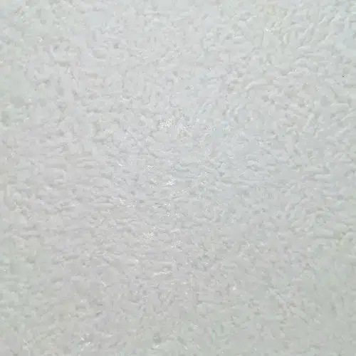 Florida 301