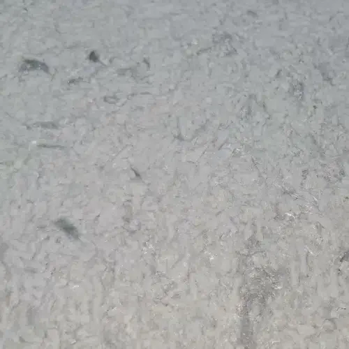 Florida 314