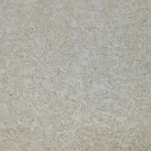 Florida 321