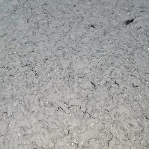 Florida 324