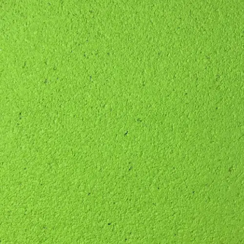 Yellowstone 152 — Lemon Green